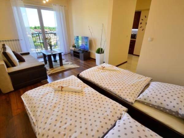 Apartament Antonio Apartment Zator Exterior photo